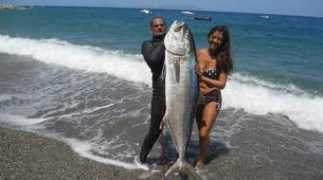 gazzettadelsud.it Ricciola