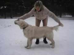 goldenretrievers.narod.ru Richana