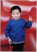 ping.ci123.com Richei