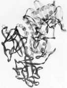 ehso.com Ricin