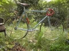 velospace.org Rickert