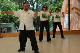 worldtaichiday.org Ricol