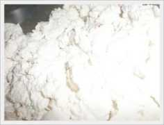 slowtrav.com Ricotta
