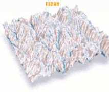 Ridam
