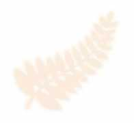 nixonpictures.co.nz Ridland