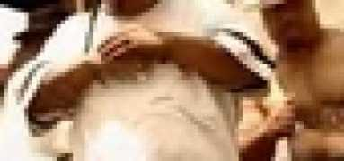 Ridon
