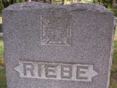 Riebe