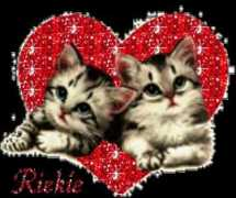 Riekie