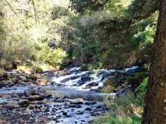 printsofscotland.com Righ