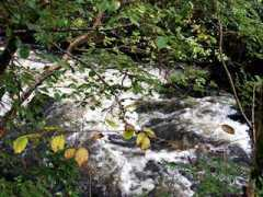 printsofscotland.com Righ