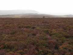 geograph.org.uk Righ