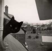 photoscala.de Rigolini