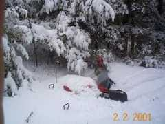 snobuds.com Rijosh