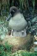 Rikr