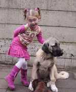 anatoliandog.org Rilena