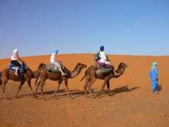 ouzinarimal.com Rimal