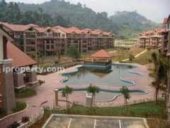 Rimba
