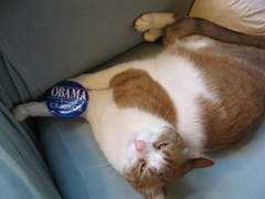 catsforobama.com Rimet