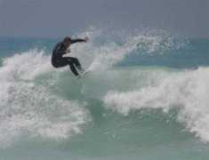 surfari.it Rinald