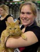 chestertontribune.com Ringas