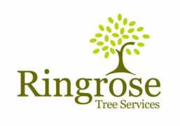 Ringrose