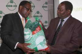 herald.co.zw Ringson