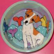 catsanddogspa.com Ringy