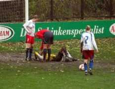fansoccer.de Rinkes