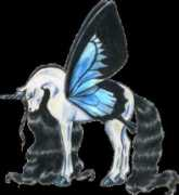 quimsondesign.com Rinnan
