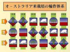 konishi.co.jp Rinsaku
