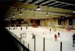 skateny.com Rinx