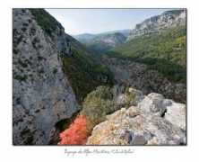 panoramio.com Riolan