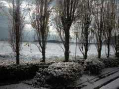 cittadellaspezia.com Riolino