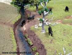 smallartworks.ca Riparian