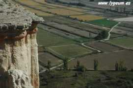 lygeum.es Ripas