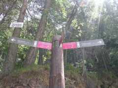 panoramio.com Ripolles