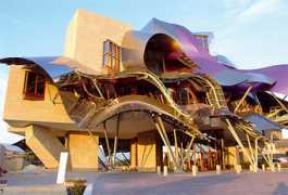 stylefrizz.com Riscal