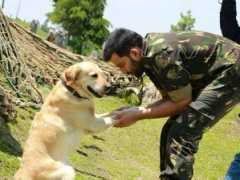 filmibeat.com Rishal