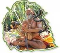wildlife-tour-india.com Rishekesh