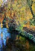 Risle
