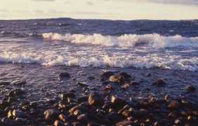 phnet.fi Rismal