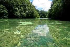 traveltwins.dk Risong