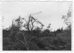 naturgewalten.de Rissen