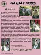 Risza