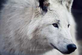 fotolog.com Rititi