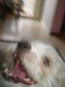 Ritro