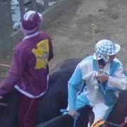 ilpalio.org Rivali