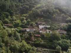 panoramio.com Riveira