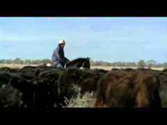 wn.com Riverina
