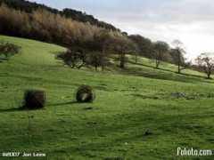 Rivington